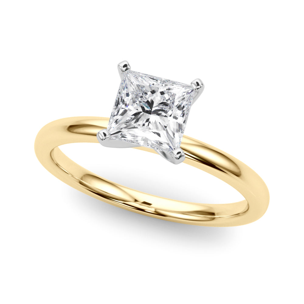Remount Ring